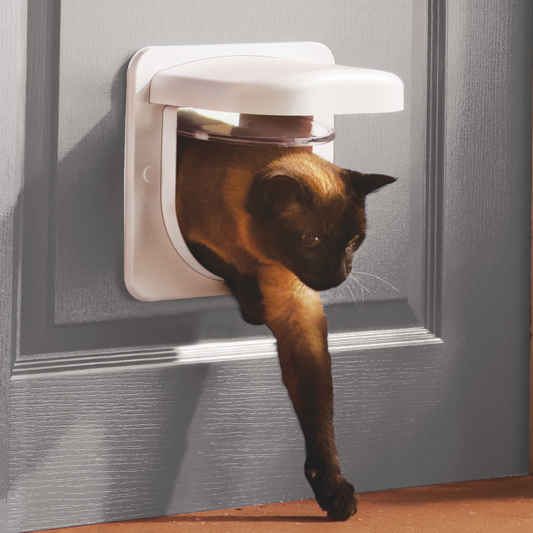 Cat flap chip store sensor