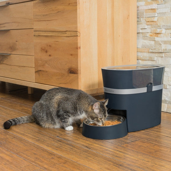 Smart store cat feeder