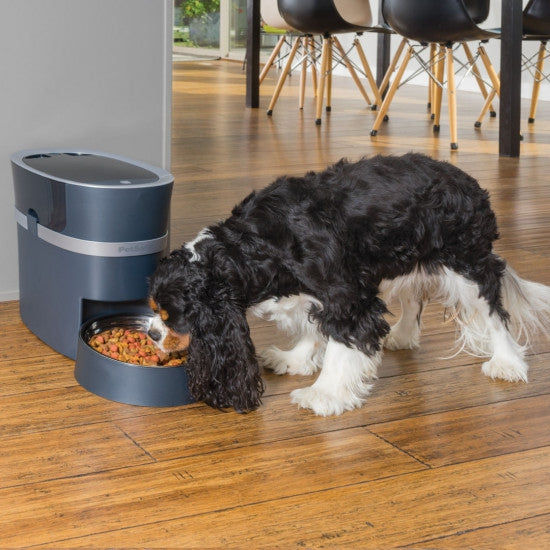 Smart home sales dog feeder