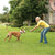 STAY & PLAY® Compact Wireless Fence