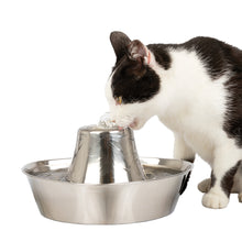 Load image into Gallery viewer, PetSafe® Seaside Stainless Steel Pet Fountain
