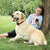 STAY & PLAY® Wireless Fence for Stubborn Dogs
