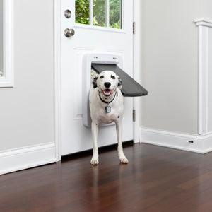 SmartDoor Connected Pet Door