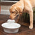 Drinkwell® Ceramic Avalon Pet Fountain