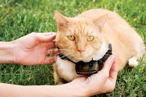 Deluxe In-Ground Cat Fence™ Extra Receiver Collar