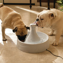 Load image into Gallery viewer, Drinkwell® 360 Plastic Pet Fountain
