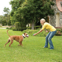 Load image into Gallery viewer, STAY &amp; PLAY® Wireless Fence Add-A-Dog® Extra Receiver Collar
